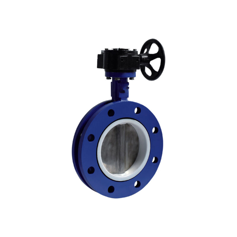 Butterfly Valve main
