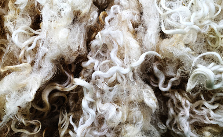 Cotton Yarn and Waste