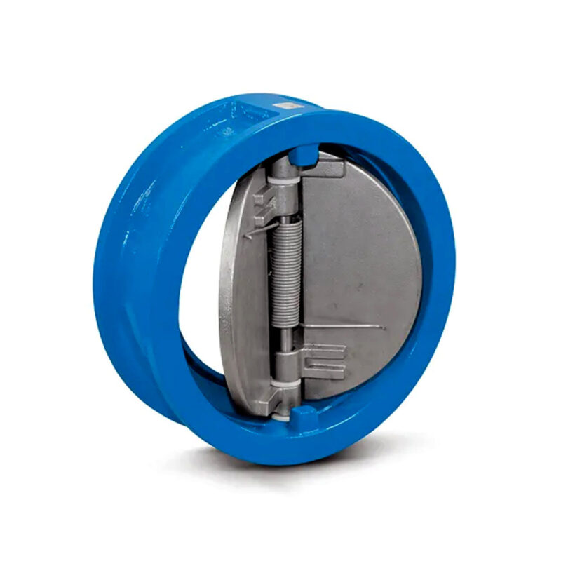 Dual Plate Check Valve main