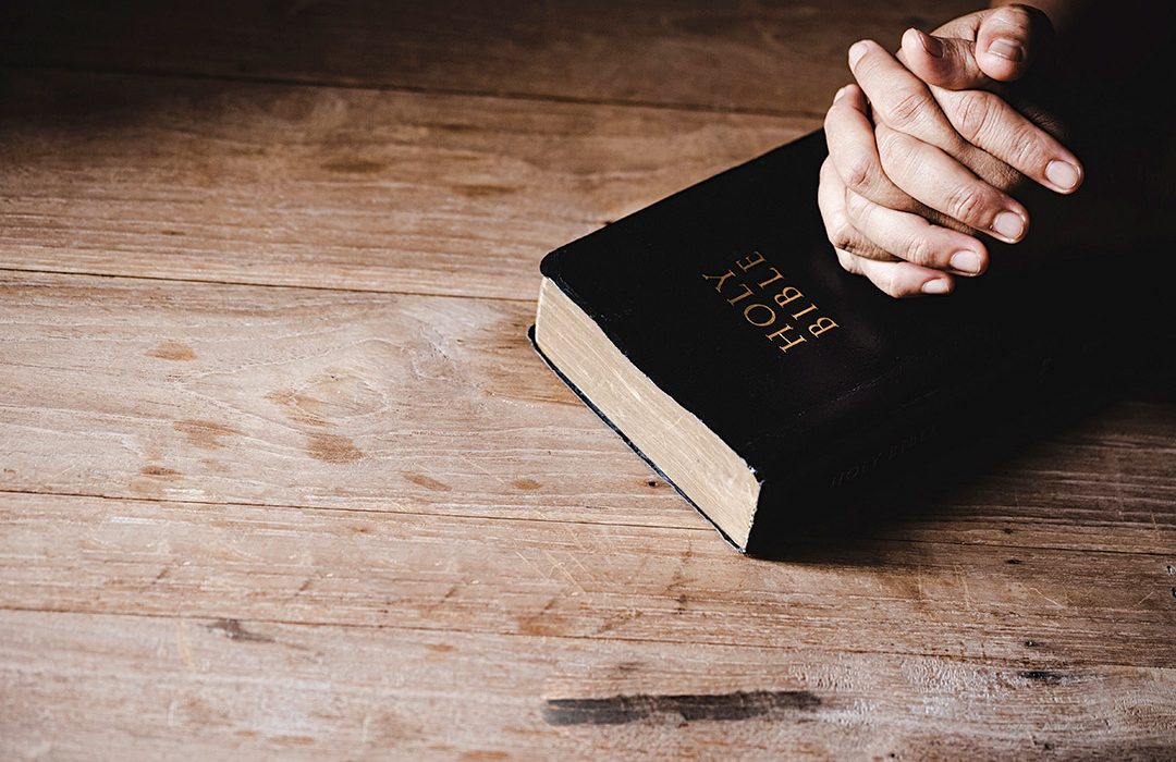 Free Bible distribution enfc india 01