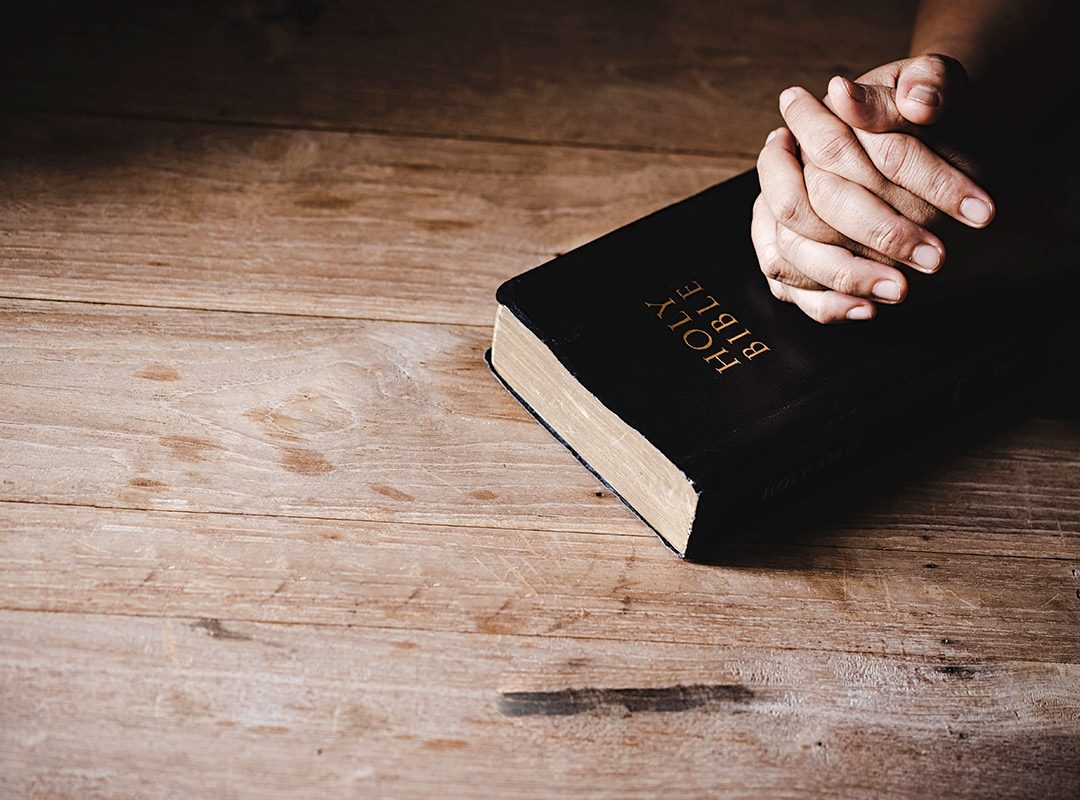 Free Bible distribution enfc india 02