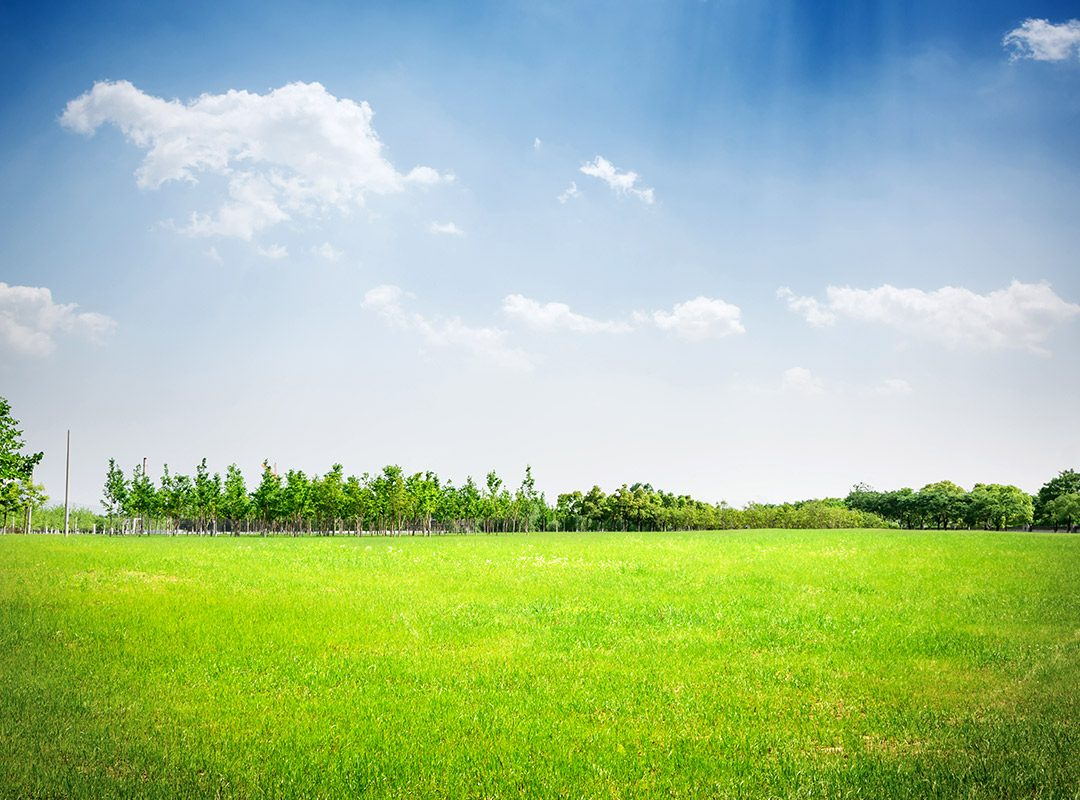 land purchase enfc