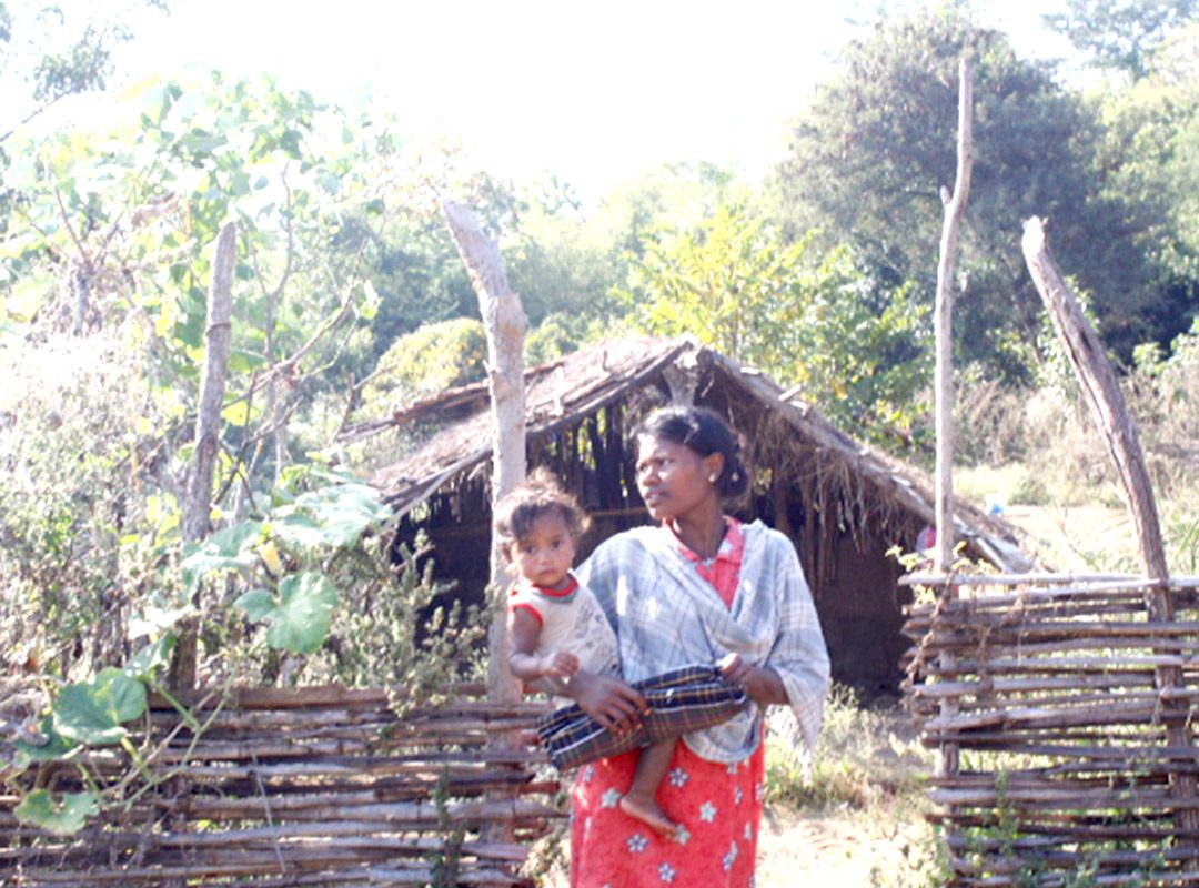 Tribal Ministry enfc india 01