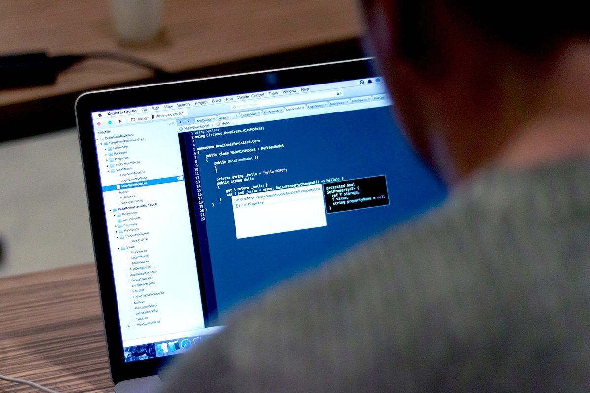 Software