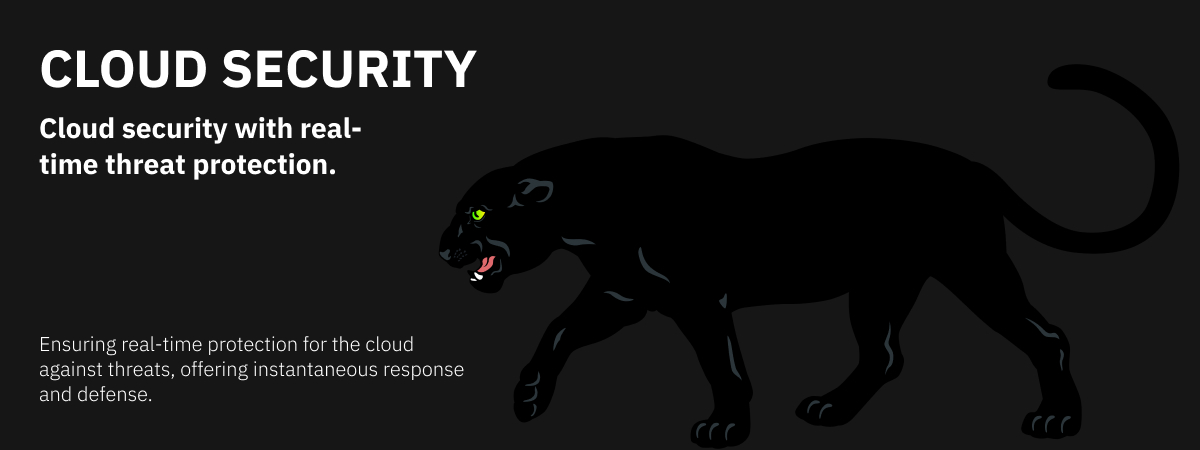 cloud security service