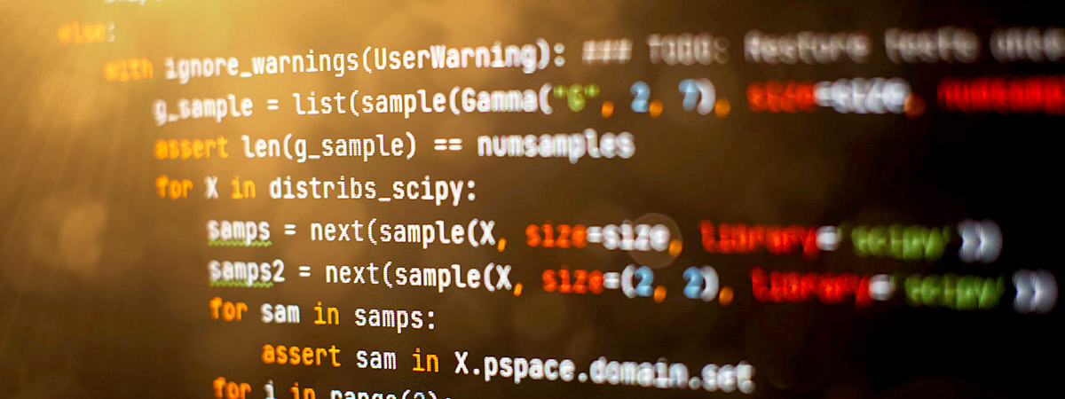 Custom Software Development 2