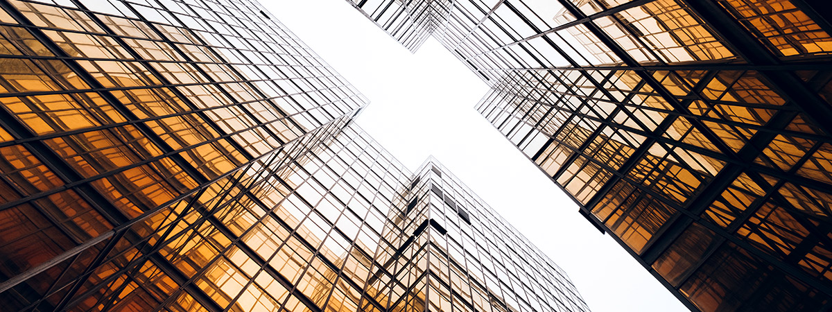 How DotDev Technology is Helping Businesses Adapt Modern Technologies 2