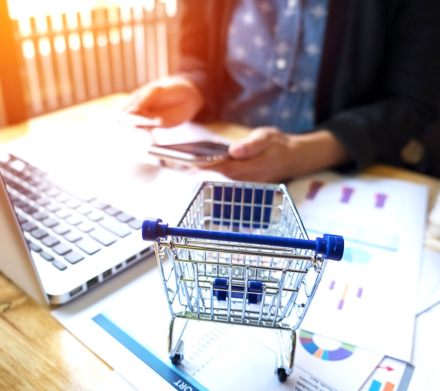 e Commerce Auditing 2