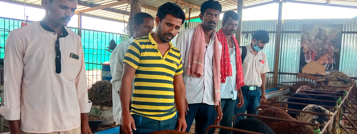 village rehabilitation worker 6.jpg