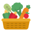 vegetable