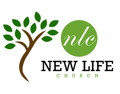 nlcdublin logo