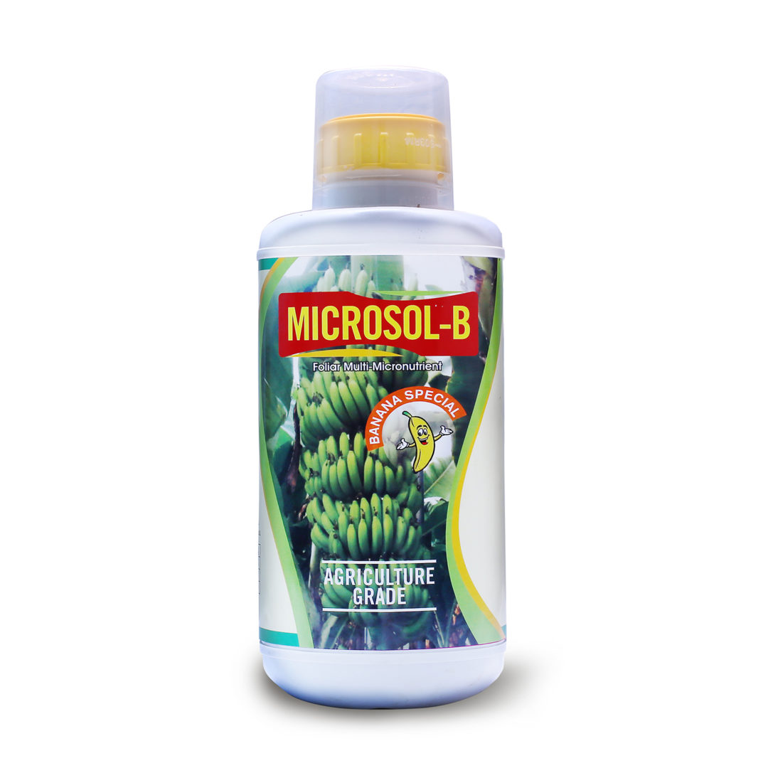 Microsol Banana