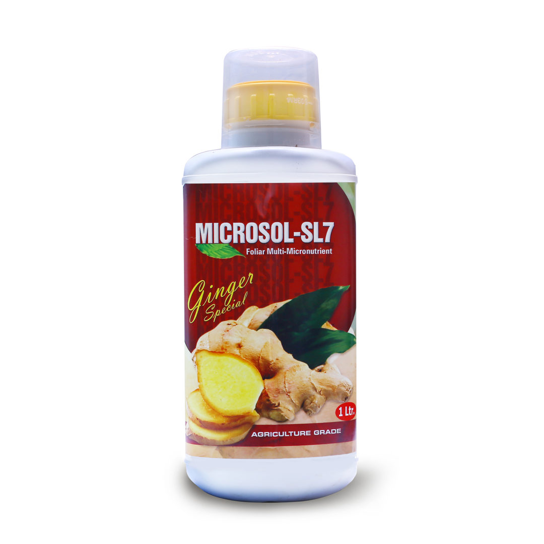 Microsol Ginger