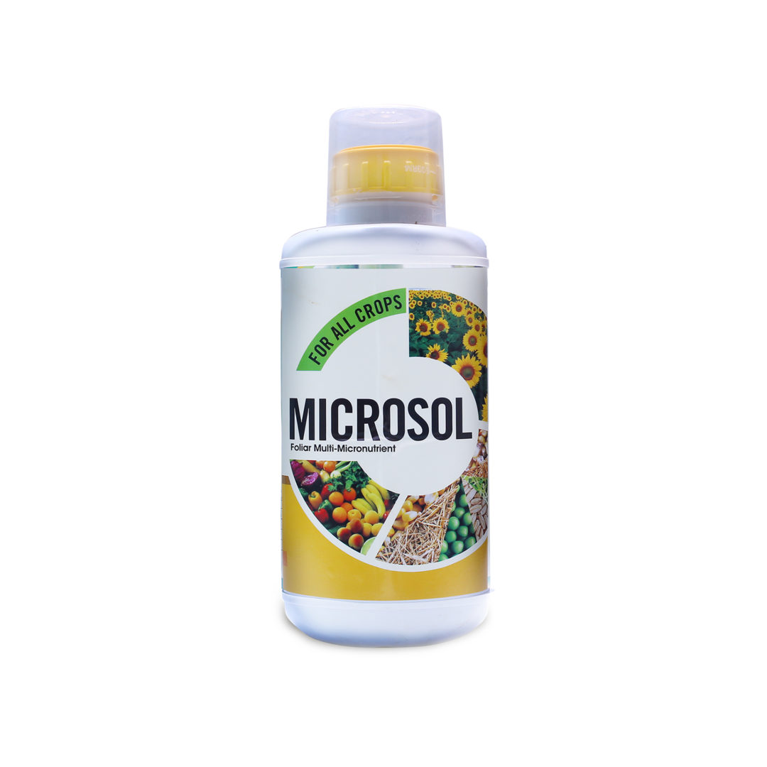 Microsol