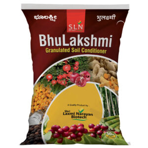 Bhulaxmi