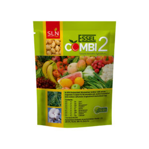 Essel Combi 2