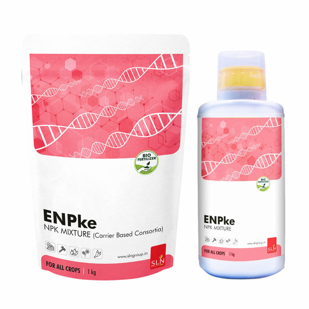SLN enpke