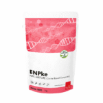 enpke 1