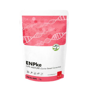 enpke 1