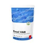 sln essel vam 2