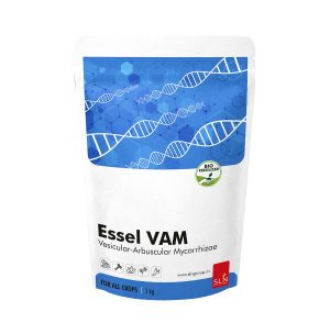 sln essel vam 2