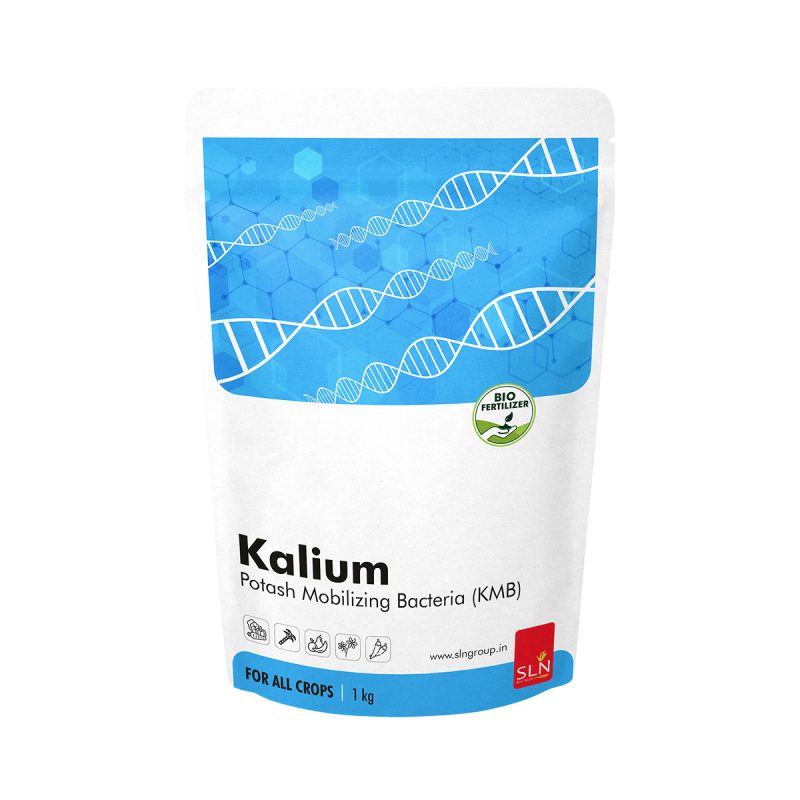 sln kalium