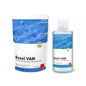 sln essel vam 11