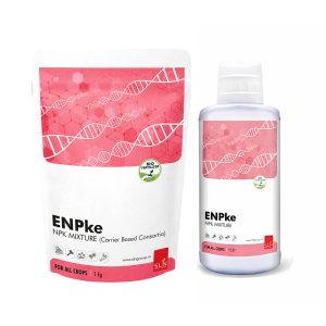 sln enpke