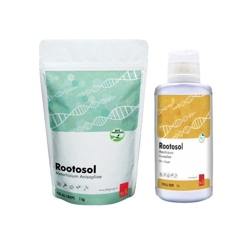 sln rootosol 2 sln rootosol