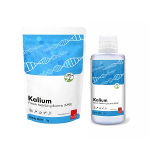 sln kalium 114
