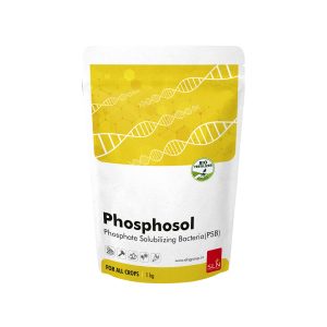 SLN Phosphosol product 1