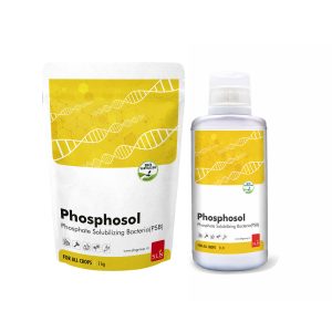 sln phosphosol