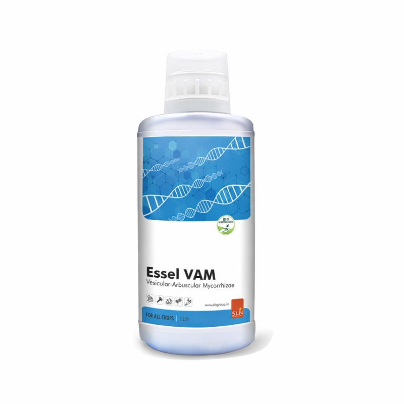 SLN Essel VAM