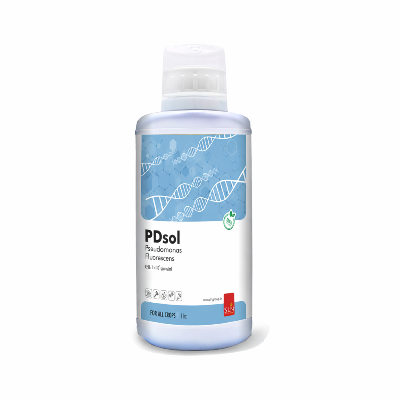 SLN PDsol
