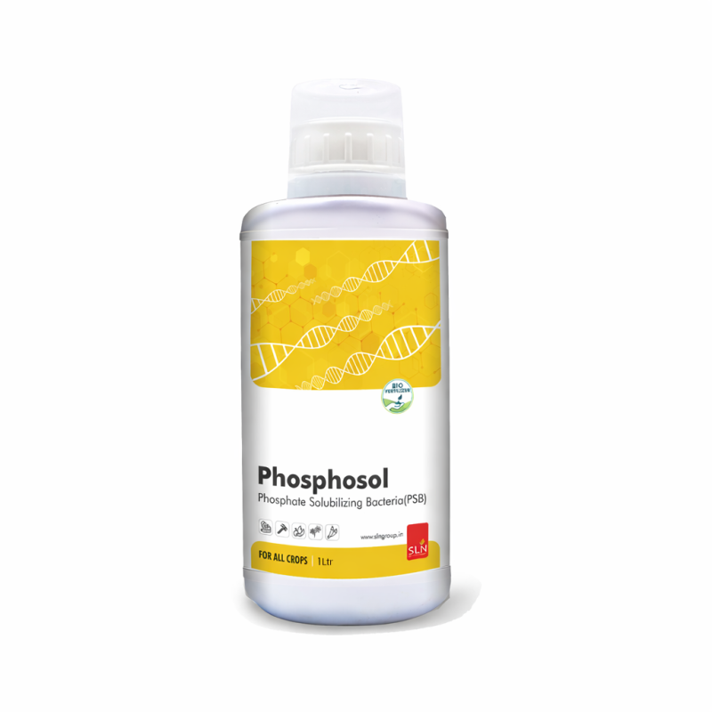 SLN Phosphosol bottle 1