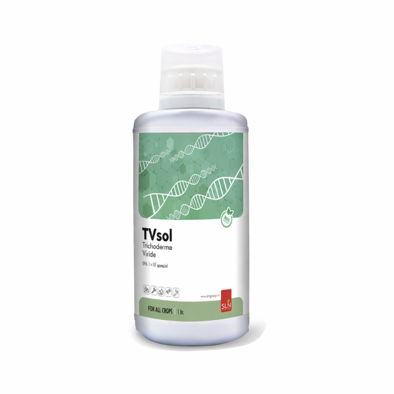 sln tvsol