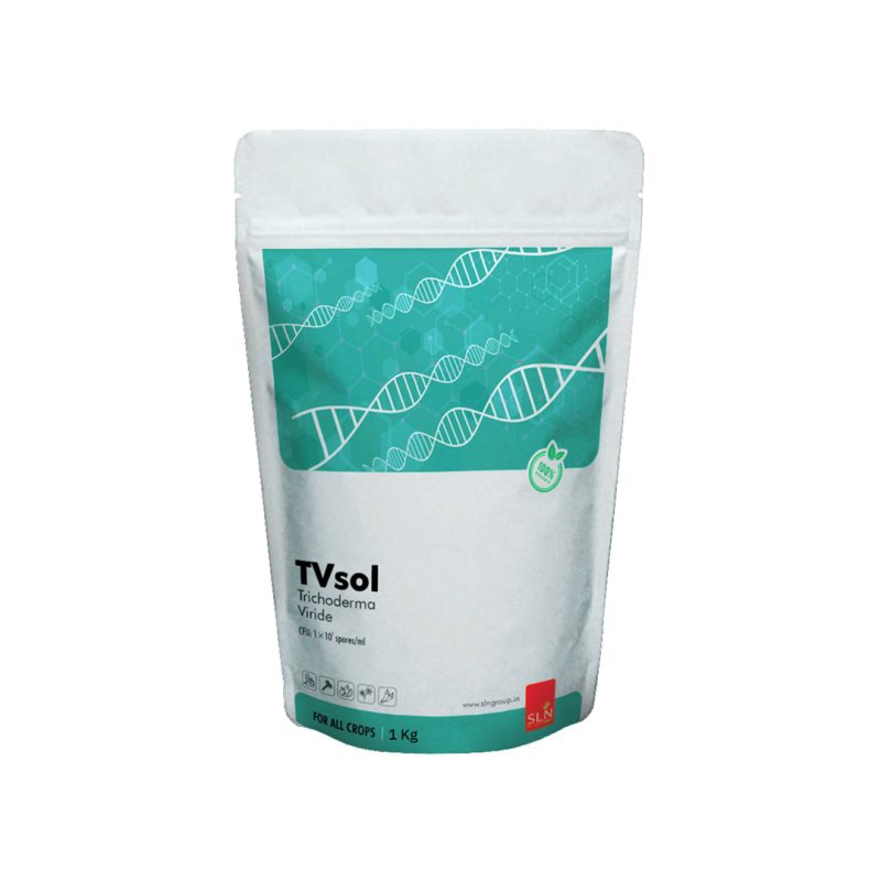 sln tvsol