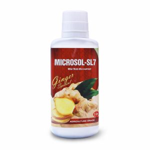 SLN Microsol Ginger